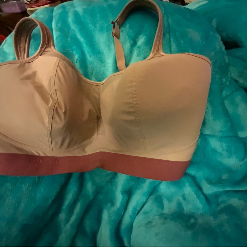 Panache Cream and Pink Bra